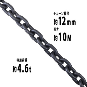 チェーン 線径約12mm 使用荷重約4.6t 約4600kg 約10m G80 エコノミーモデル 鎖 くさり 吊り具 チェーンスリング スリングチェーン リンクチェーン チェイン 金