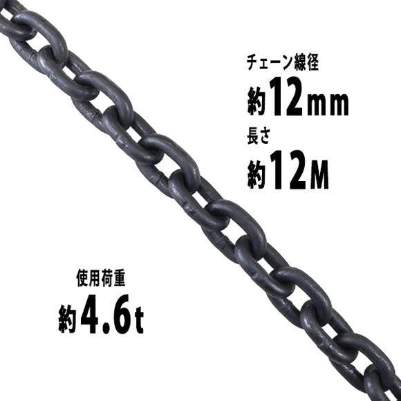 チェーン 線径約12mm 使用荷重約4.6t 約4600kg 約12m G80 エコノミーモデル 鎖 くさり 吊り具 チェーンスリング スリングチェーン リンクチェーン チェイン 金