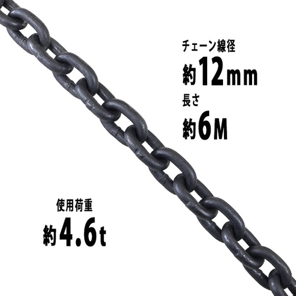 チェーン 線径約12mm 使用荷重約4.6t 約4600kg 約6m G80 エコノミーモデル 鎖 くさり 吊り具 チェーンスリング スリングチェーン リンクチェーン チェイン 金具