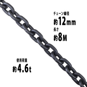 チェーン 線径約12mm 使用荷重約4.6t 約4600kg 約8m G80 エコノミーモデル 鎖 くさり 吊り具 チェーンスリング スリングチェーン リンクチェーン チェイン 金具