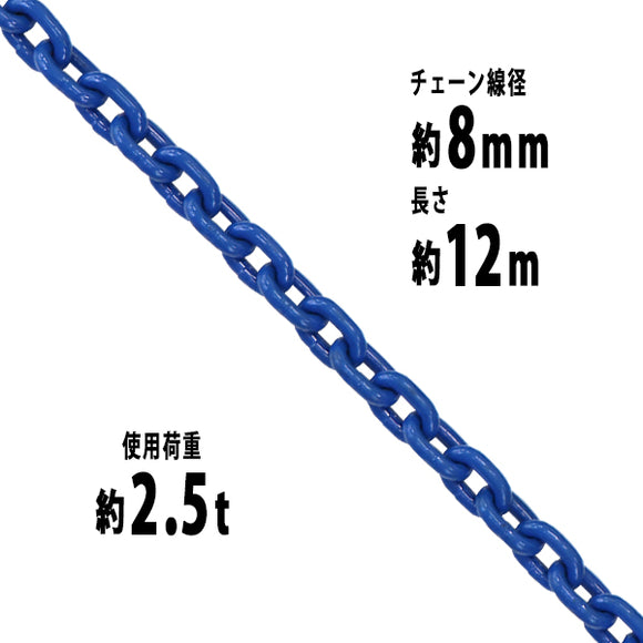 チェーン 線径約8mm 使用荷重約2.5t 約2500kg 約12m G100 ハイグレードモデル 鎖 くさり 吊り具 チェーンスリング スリングチェーン リンクチェーン チェイン