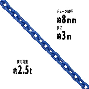 チェーン 線径約8mm 使用荷重約2.5t 約2500kg 約3m G100 ハイグレードモデル 鎖 くさり 吊り具 チェーンスリング スリングチェーン リンクチェーン チェイン 金